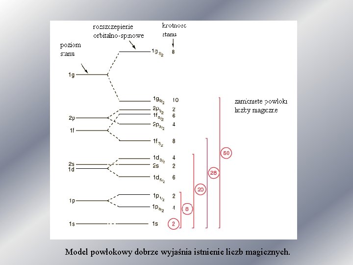 Model powłokowy dobrze wyjaśnia istnienie liczb magicznych. 