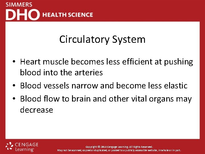 Circulatory System • Heart muscle becomes less efficient at pushing blood into the arteries