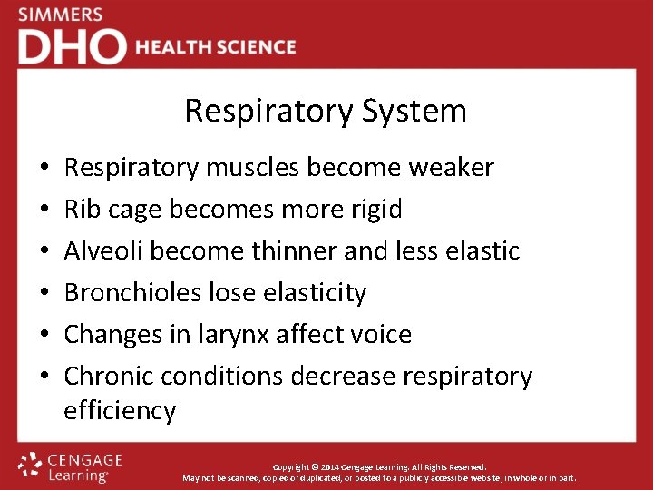 Respiratory System • • • Respiratory muscles become weaker Rib cage becomes more rigid