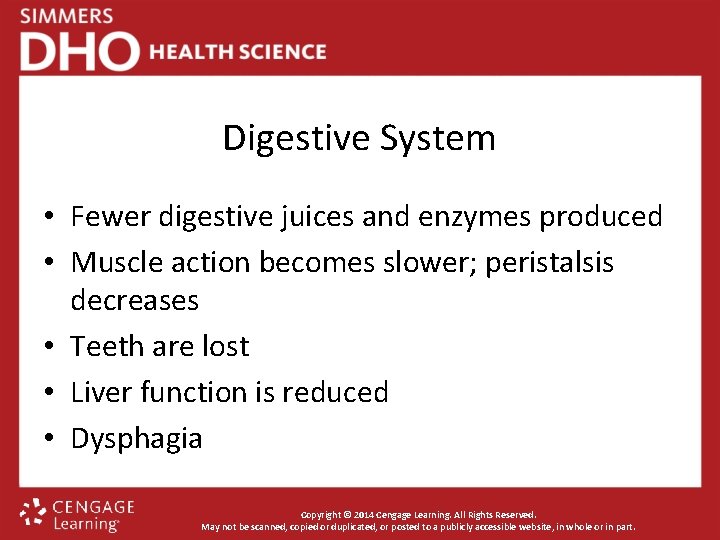 Digestive System • Fewer digestive juices and enzymes produced • Muscle action becomes slower;