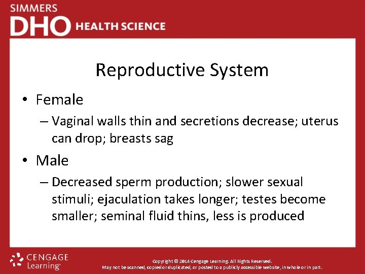 Reproductive System • Female – Vaginal walls thin and secretions decrease; uterus can drop;