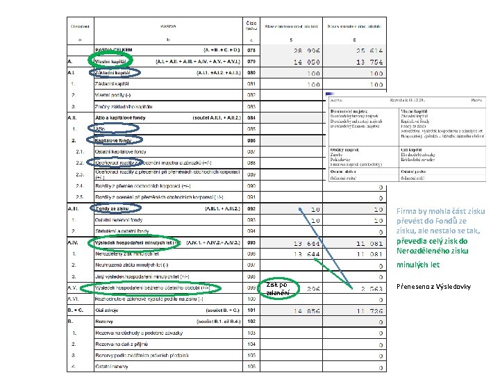 Firma by mohla část zisku převést do Fondů ze zisku, ale nestalo se tak,