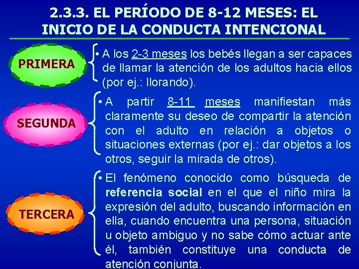 2. 3. 3. EL PERÍODO DE 8 -12 MESES: EL INICIO DE LA CONDUCTA