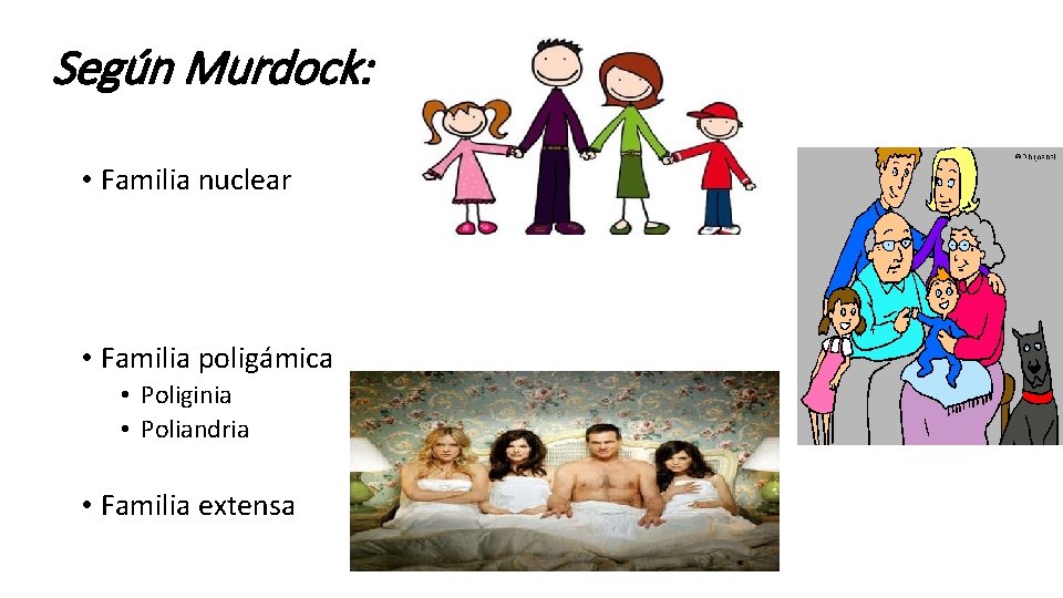 Según Murdock: • Familia nuclear • Familia poligámica • Poliginia • Poliandria • Familia