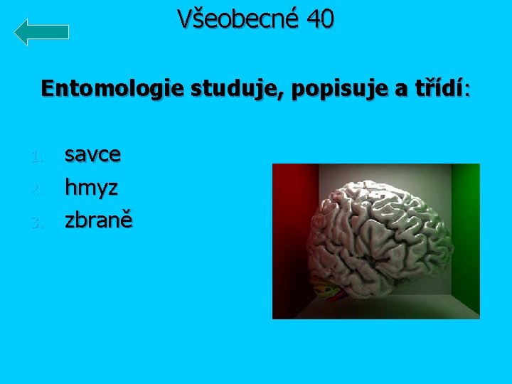 Všeobecné 40 Entomologie studuje, popisuje a třídí: 1. 2. 3. savce hmyz zbraně 