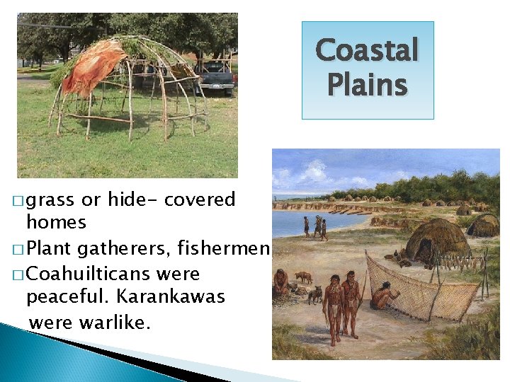 Coastal Plains � grass or hide- covered homes � Plant gatherers, fishermen � Coahuilticans