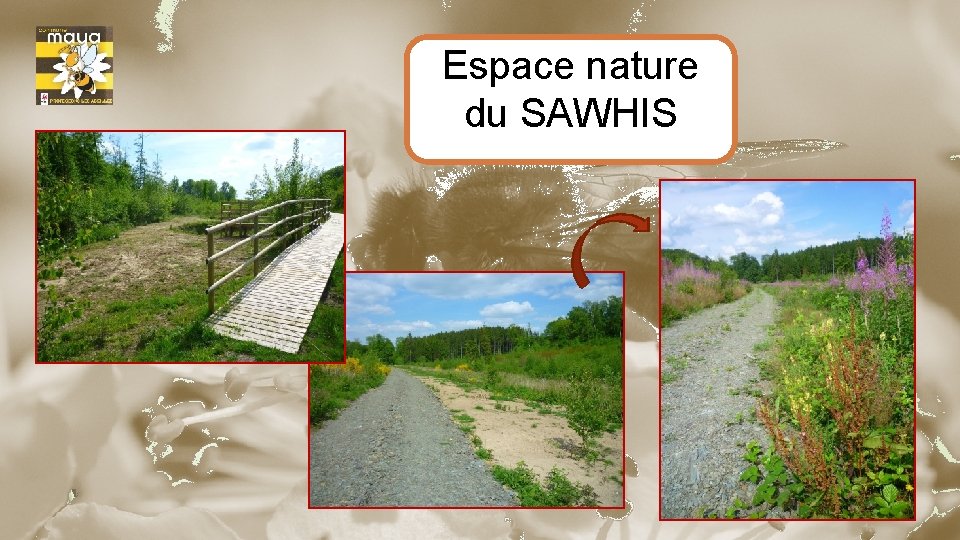 Espace nature du SAWHIS 