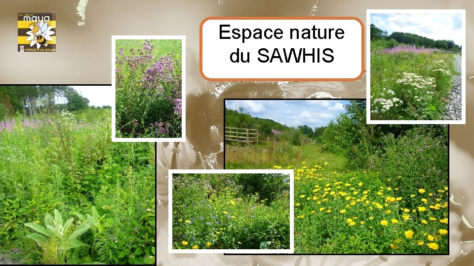 Espace nature du SAWHIS 