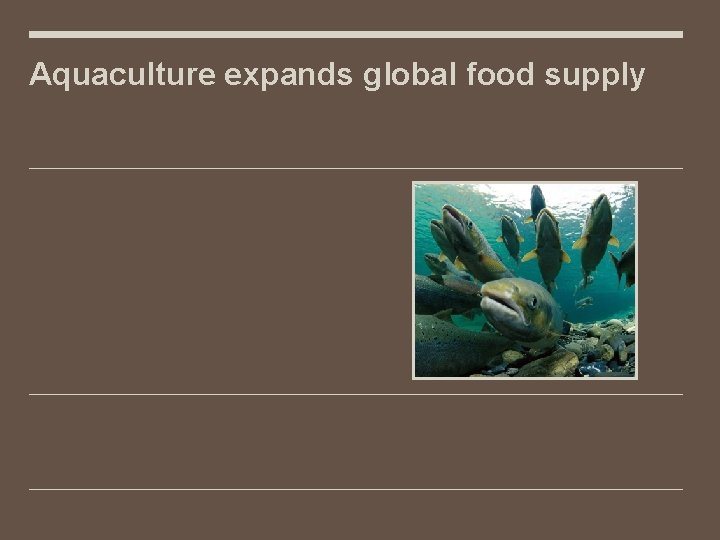 Aquaculture expands global food supply 