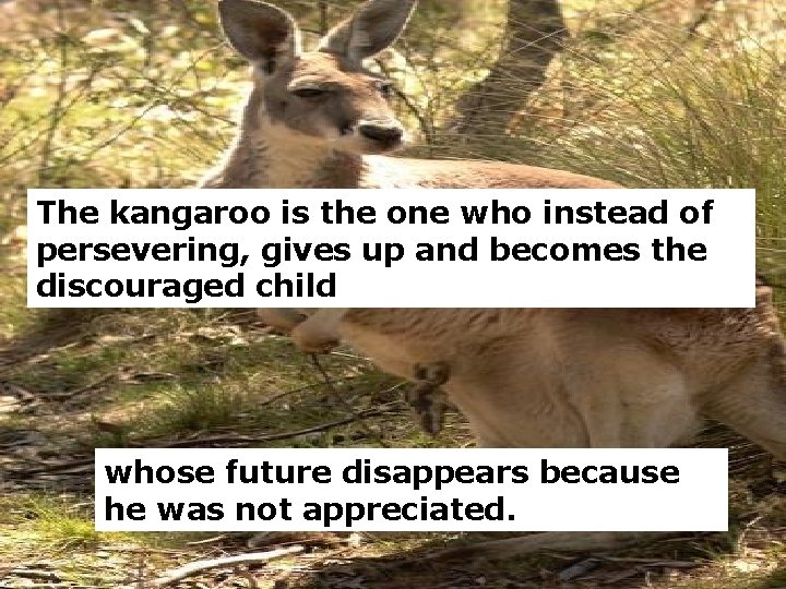 The kangaroo is the one who instead of persevering, gives up and becomes the