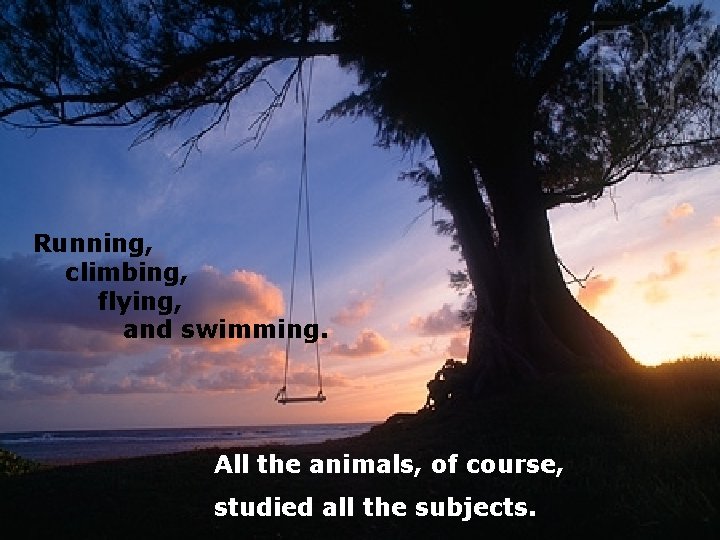 Running, climbing, flying, and swimming. All the animals, of course, studied all the subjects.