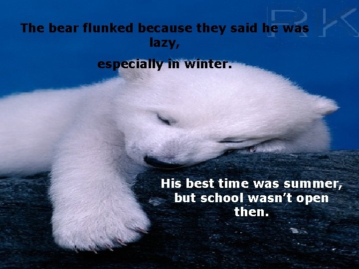 The bear flunked because they said he was lazy, especially in winter. His best