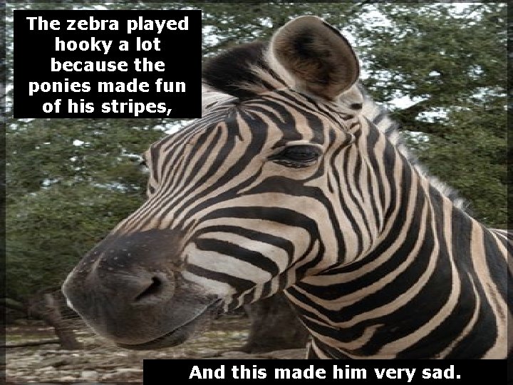 The zebra played hooky a lot because the ponies made fun of his stripes,