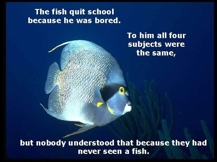 The fish quit school because he was bored. To him all four subjects were