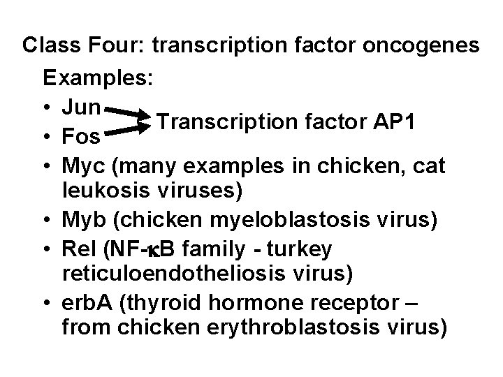 Class Four: transcription factor oncogenes Examples: • Jun Transcription factor AP 1 • Fos
