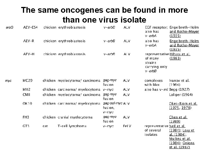 The same oncogenes can be found in more than one virus isolate 