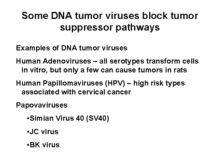 Some DNA tumor viruses block tumor suppressor pathways Examples of DNA tumor viruses Human