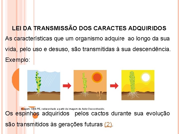  LEI DA TRANSMISSÃO DOS CARACTES ADQUIRIDOS As características que um organismo adquire ao
