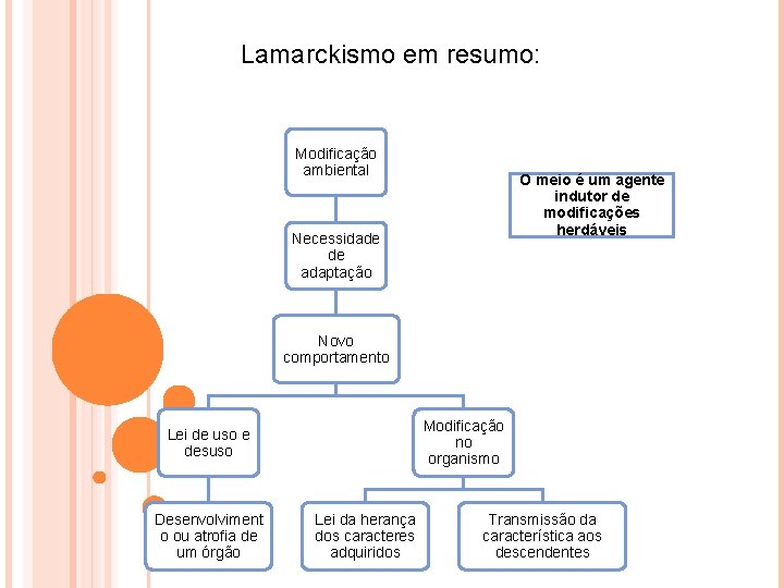 Lamarckismo em resumo: Modificação ambiental O meio é um agente indutor de modificações herdáveis