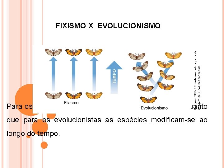 Imagem: SEE-PE, redesenhado a partir de imagem de Autor Desconhecido. FIXISMO X EVOLUCIONISMO Para