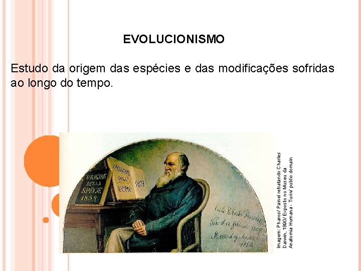 Imagem: Pharos/ Painel retratando Charles Darwin, 1890/ Exposto no Museu da Anatomia Humana -