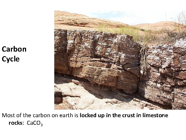 Carbon Cycle Most of the carbon on earth is locked up in the crust