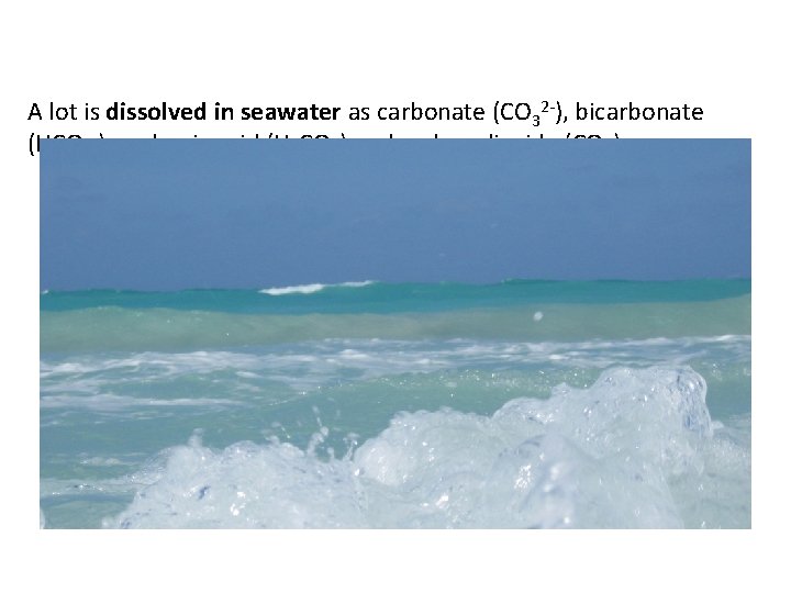 A lot is dissolved in seawater as carbonate (CO 32 -), bicarbonate (HCO 3