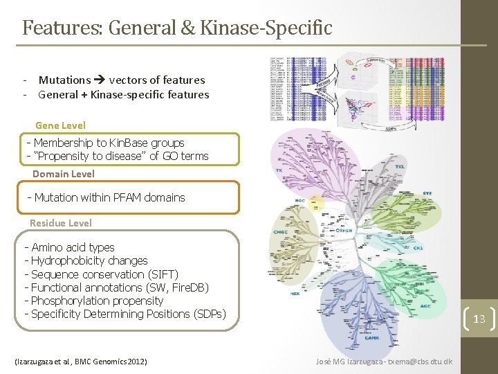 Features: General & Kinase-Specific - Mutations vectors of features - General + Kinase-specific features Features: General & Kinase-Specific - Mutations vectors of features - General + Kinase-specific features