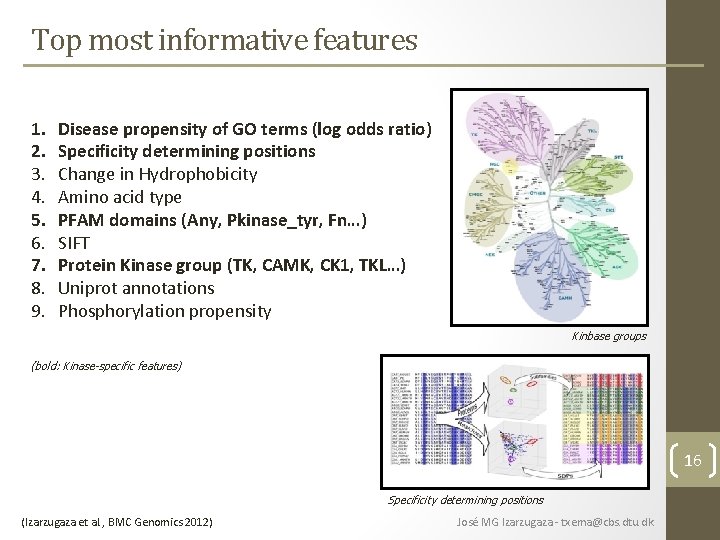 Top most informative features 1. 2. 3. 4. 5. 6. 7. 8. 9. Disease Top most informative features 1. 2. 3. 4. 5. 6. 7. 8. 9. Disease