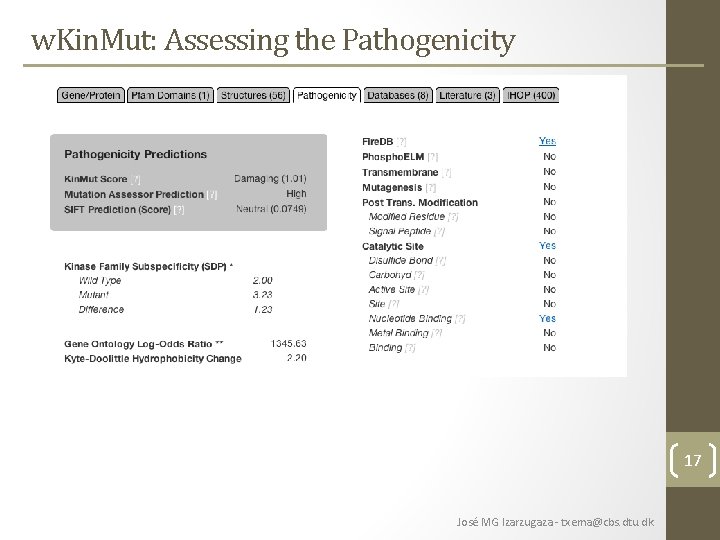 w. Kin. Mut: Assessing the Pathogenicity 17 José MG Izarzugaza - txema@cbs. dtu. dk w. Kin. Mut: Assessing the Pathogenicity 17 José MG Izarzugaza - txema@cbs. dtu. dk
