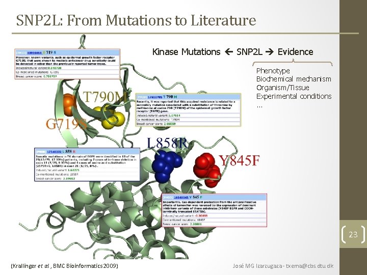 SNP 2 L: From Mutations to Literature Kinase Mutations SNP 2 L Evidence Phenotype SNP 2 L: From Mutations to Literature Kinase Mutations SNP 2 L Evidence Phenotype