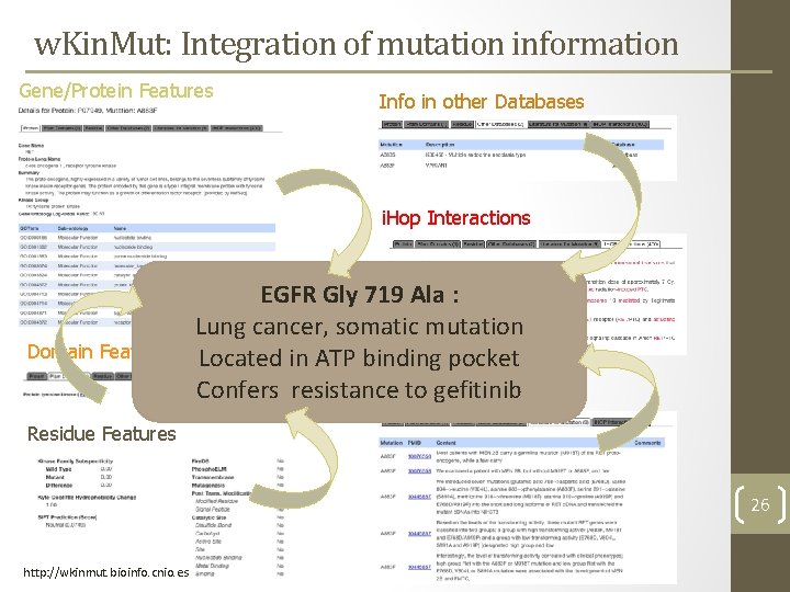 w. Kin. Mut: Integration of mutation information Gene/Protein Features Info in other Databases i. w. Kin. Mut: Integration of mutation information Gene/Protein Features Info in other Databases i.