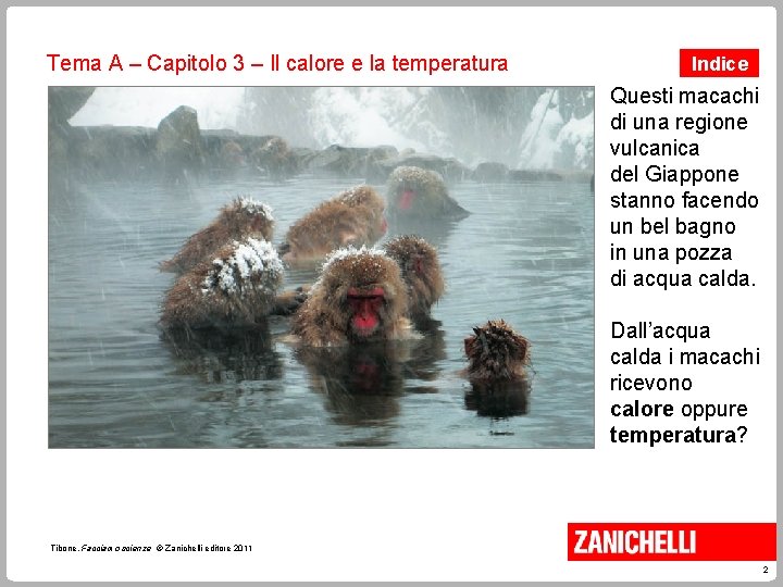 Tema A – Capitolo 3 – Il calore e la temperatura Indice Questi macachi