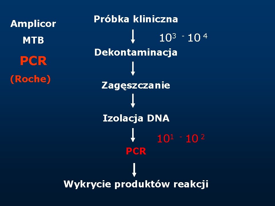 Amplicor Próbka kliniczna 103 - 10 4 MTB PCR (Roche) Dekontaminacja Zagęszczanie Izolacja DNA