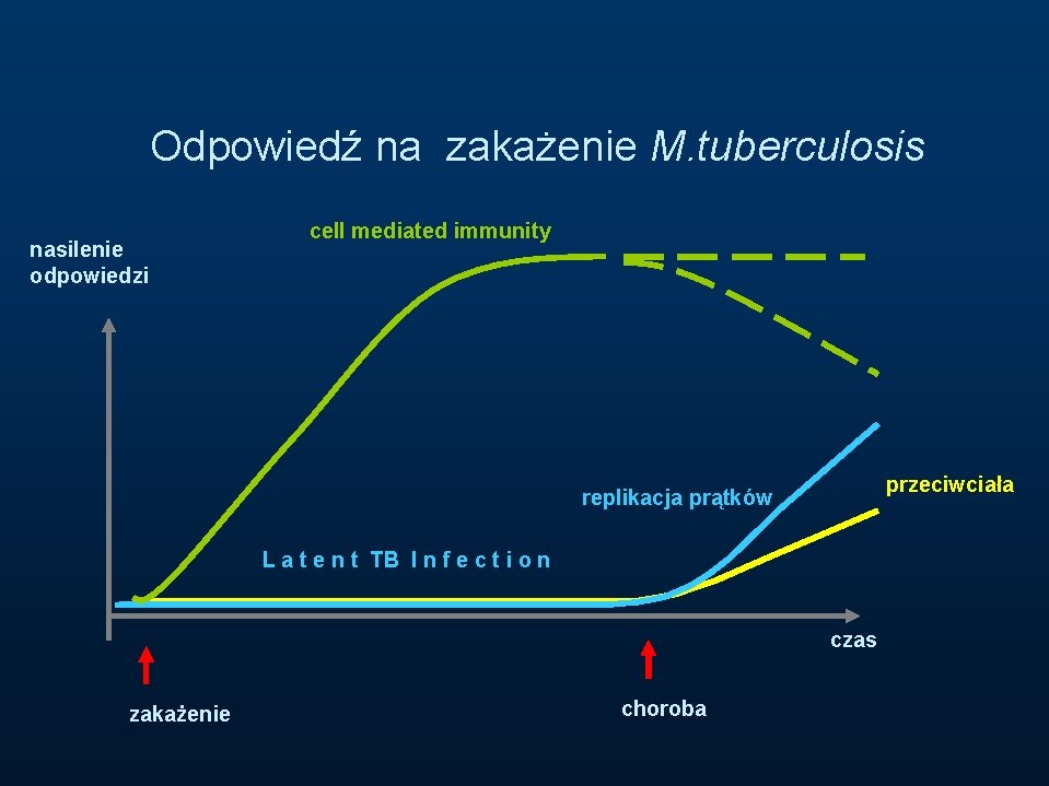 Odpowiedź na zakażenie M. tuberculosis nasilenie odpowiedzi cell mediated immunity przeciwciała replikacja prątków L