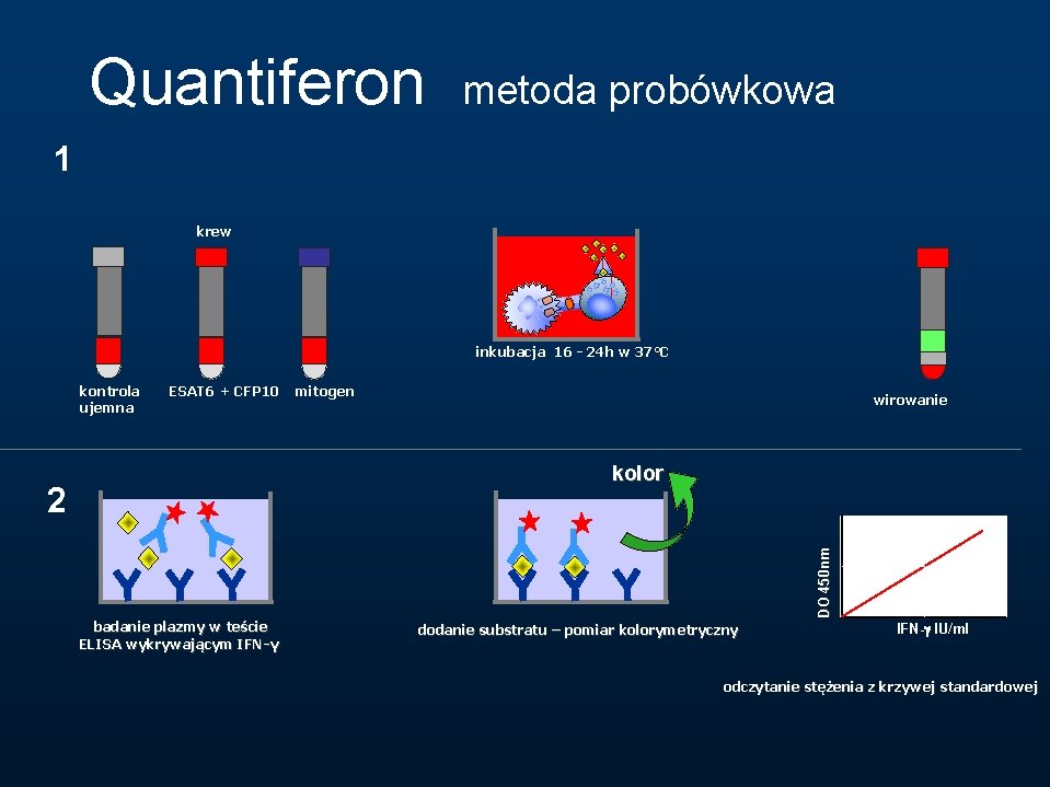 Quantiferon metoda probówkowa 1 krew inkubacja 16 - 24 h w 37°C kontrola ujemna