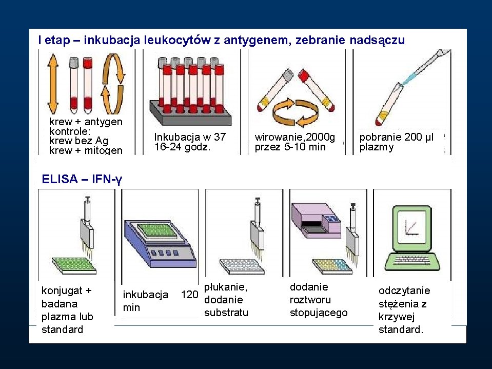 I etap – inkubacja leukocytów z antygenem, zebranie nadsączu krew + antygen kontrole: krew