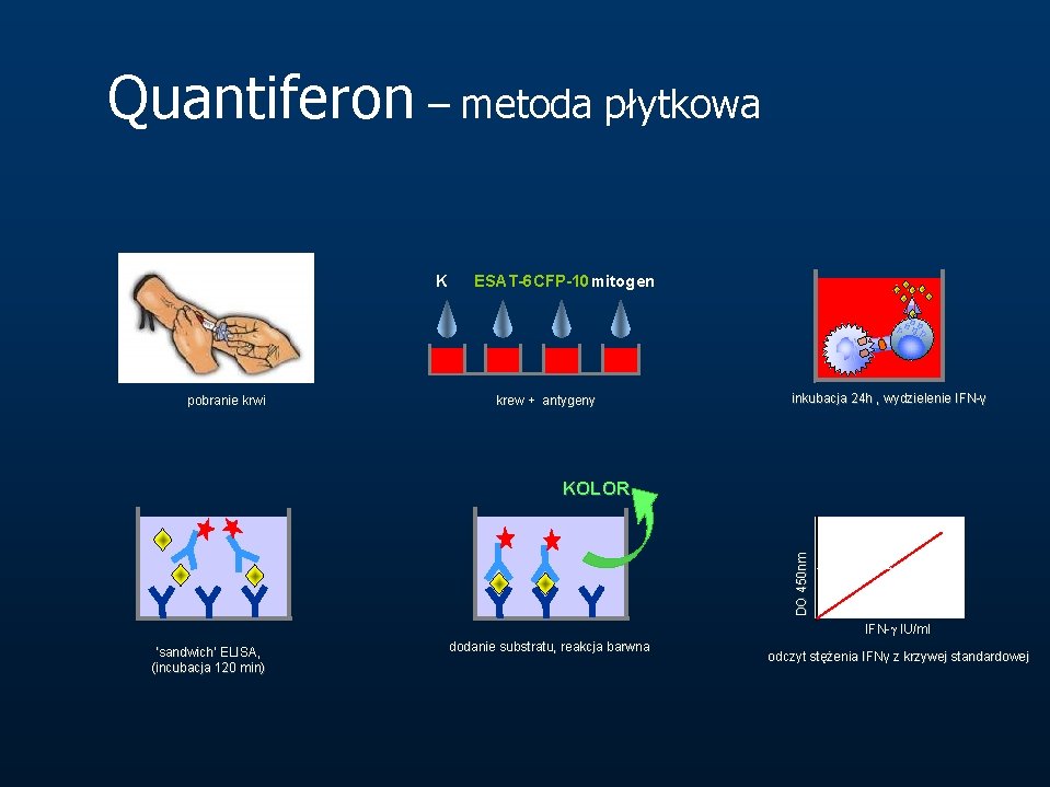 Quantiferon – metoda płytkowa K pobranie krwi ESAT-6 CFP-10 mitogen krew + antygeny inkubacja