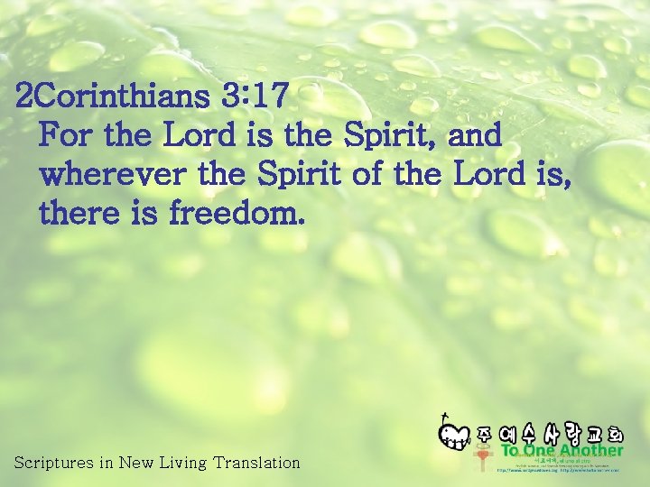 2 Corinthians 3: 17 For the Lord is the Spirit, and wherever the Spirit