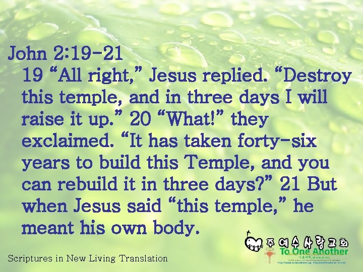 John 2: 19 -21 19 “All right, ” Jesus replied. “Destroy this temple, and