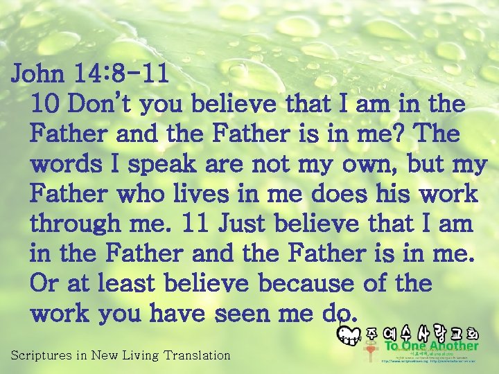 John 14: 8 -11 10 Don’t you believe that I am in the Father