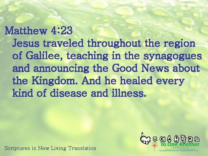 Matthew 4: 23 Jesus traveled throughout the region of Galilee, teaching in the synagogues