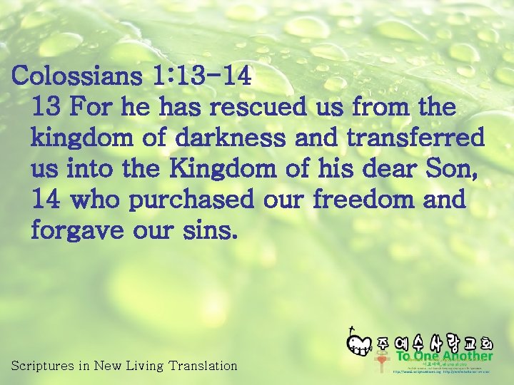 Colossians 1: 13 -14 13 For he has rescued us from the kingdom of