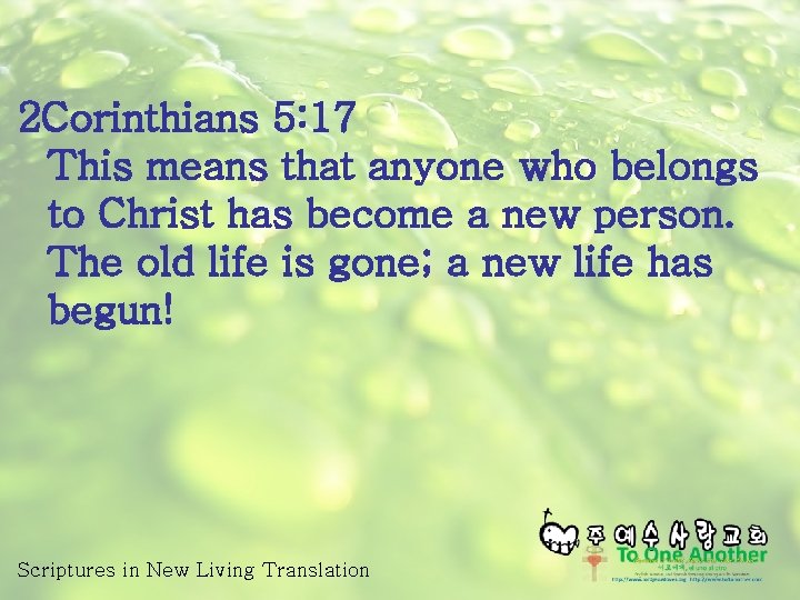 2 Corinthians 5: 17 This means that anyone who belongs to Christ has become