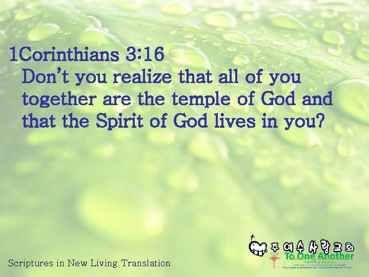 1 Corinthians 3: 16 Don’t you realize that all of you together are the