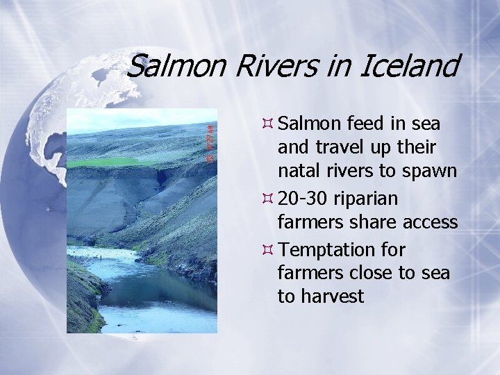 Salmon Rivers in Iceland Salmon feed in sea and travel up their natal rivers