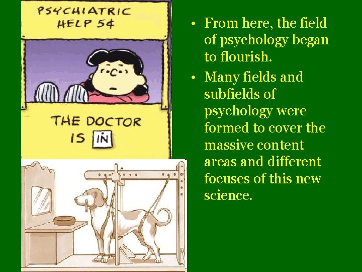  • From here, the field of psychology began to flourish. • Many fields