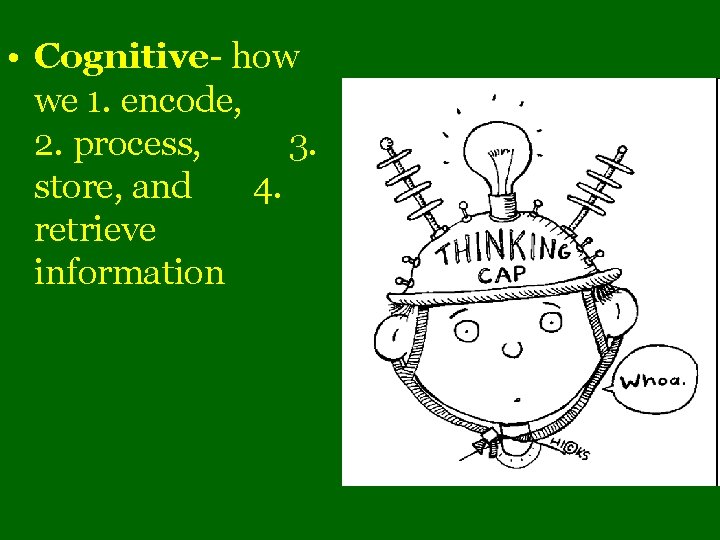  • Cognitive- how we 1. encode, 2. process, 3. store, and 4. retrieve