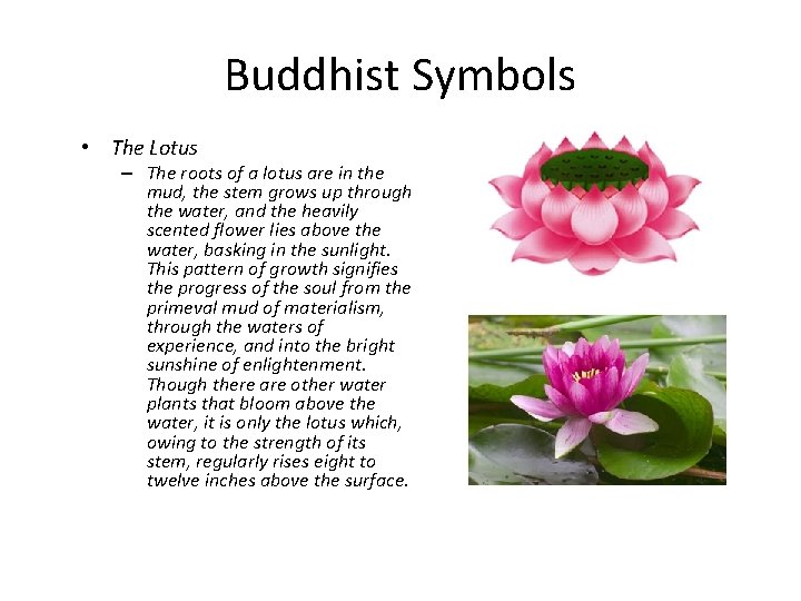 Buddhist Symbols • The Lotus – The roots of a lotus are in the