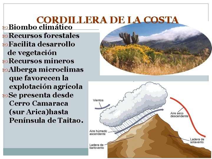 CORDILLERA DE LA COSTA Biombo climático Recursos forestales Facilita desarrollo de vegetación Recursos mineros
